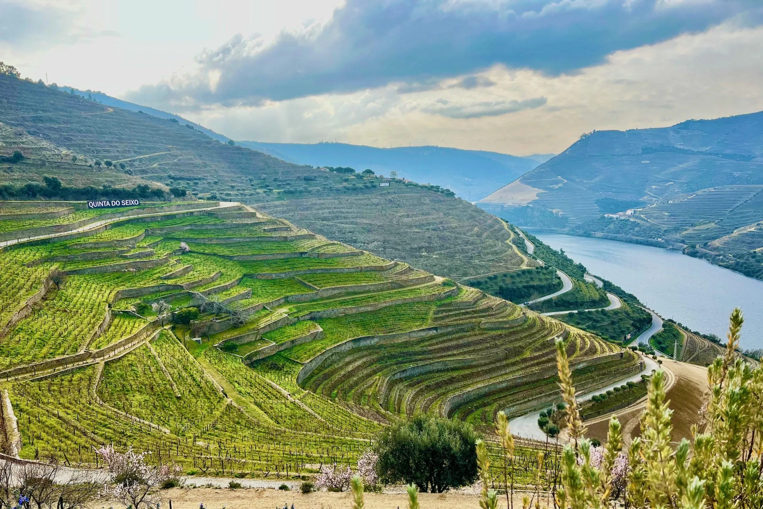The Douro Valley, Portugal — terraced vineyards above the river