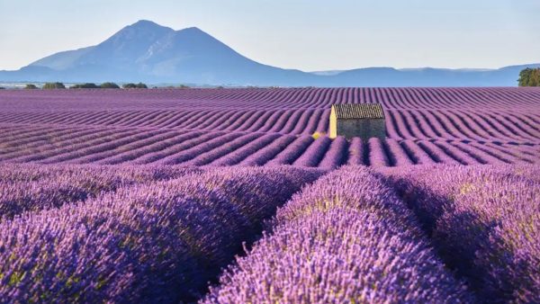 Barcelona, Provence & French Alps